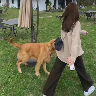 潜行者之眼